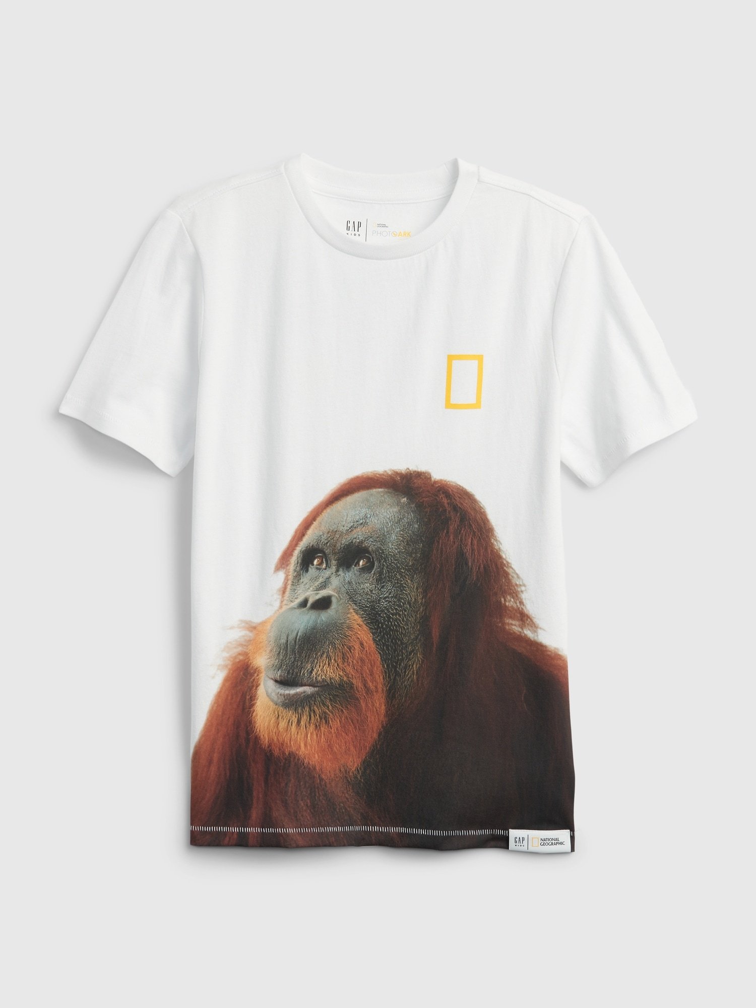 National Geographic Grafik Baskılı T-Shirt product image
