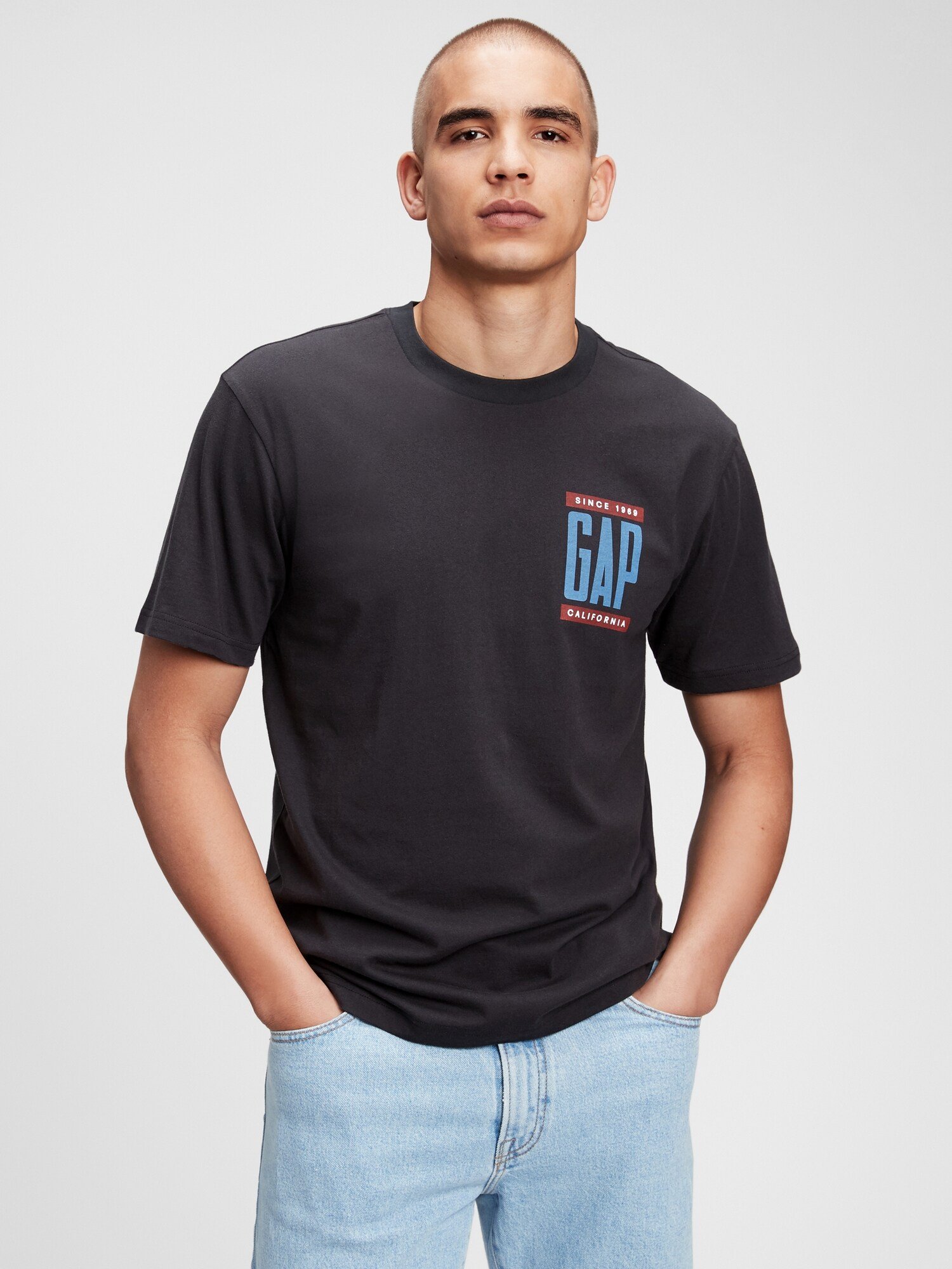 Erkek %100 Pamuk Gap Logo T-Shirt product image