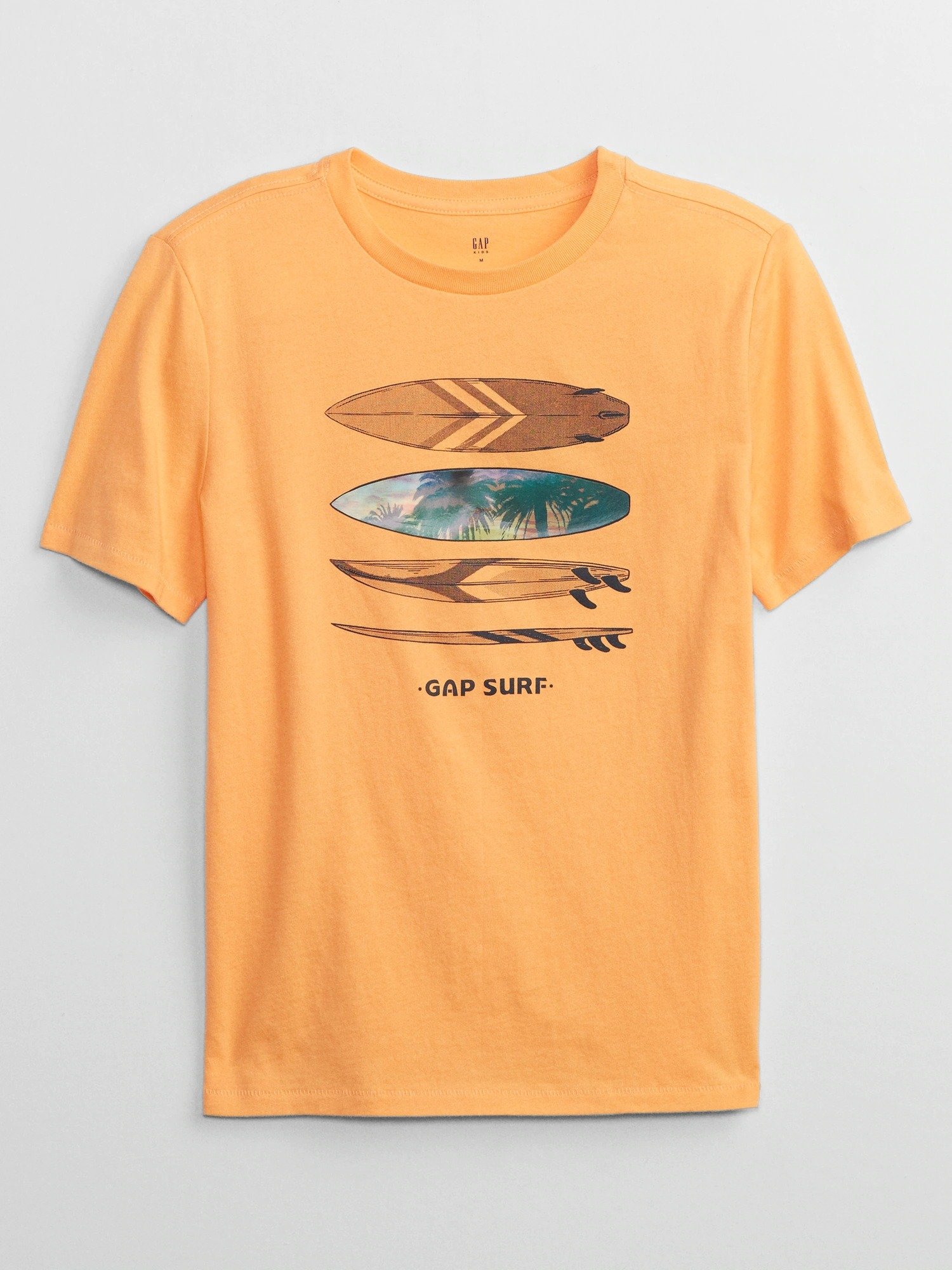 Grafik Baskılı Kısa Kollu T-Shirt product image