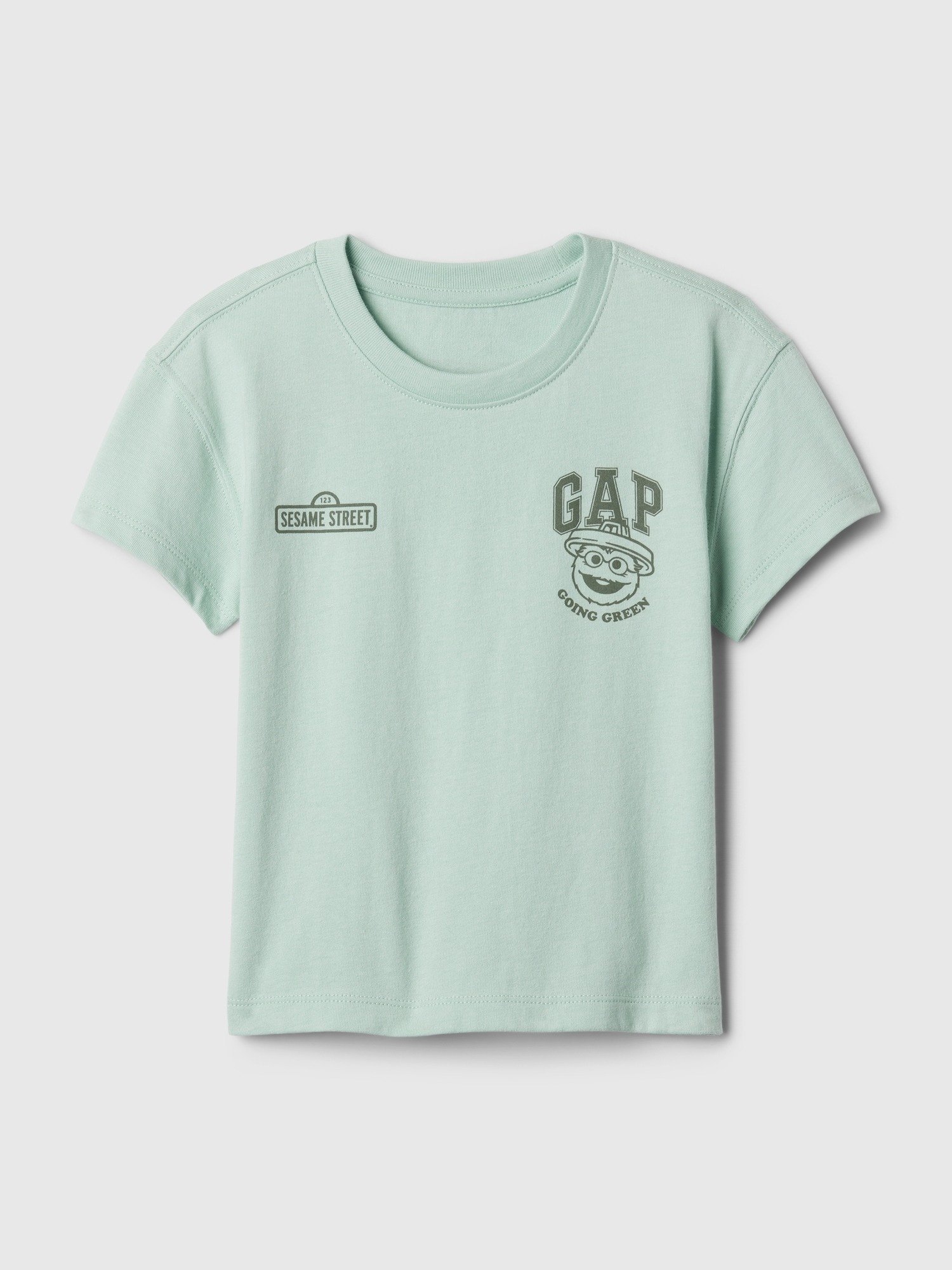 Gap Logo Susam Sokağı Grafikli T-Shirt product image