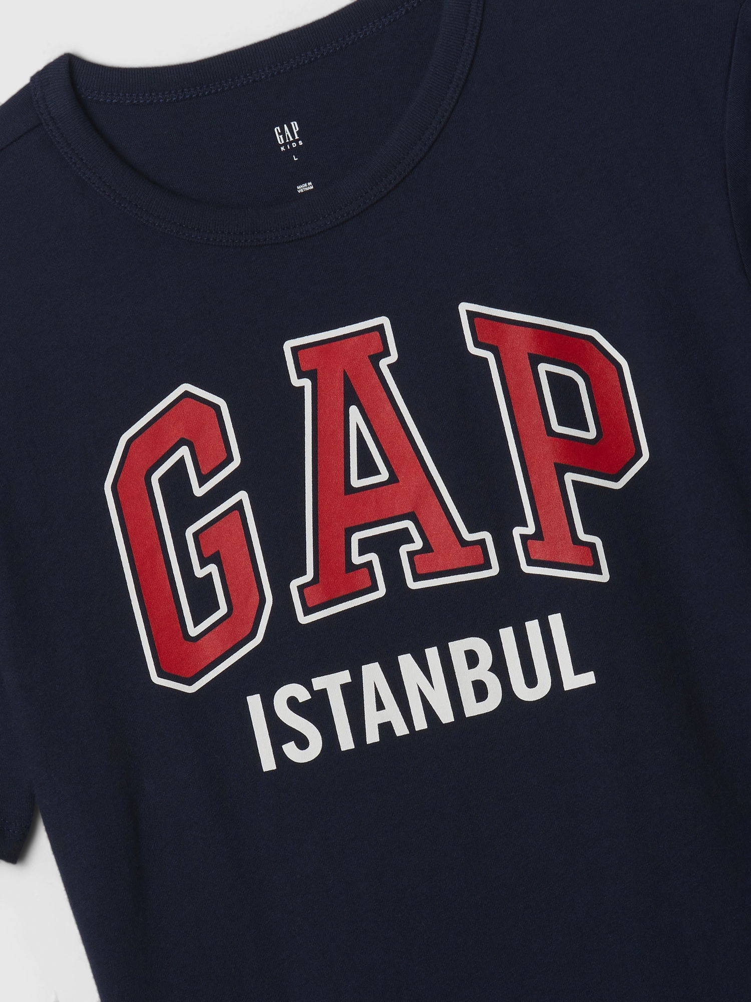 Gap İstanbul Logo T-Shirt_1