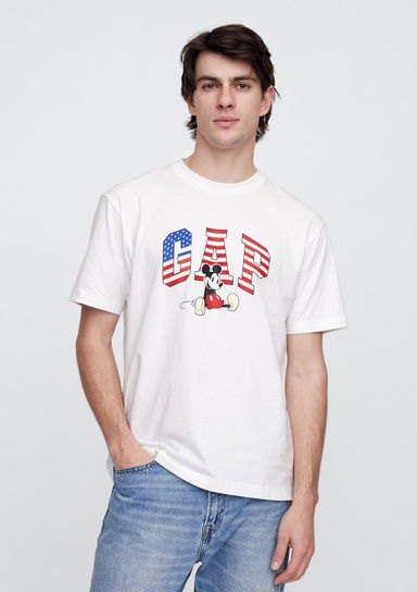 V-Dis American