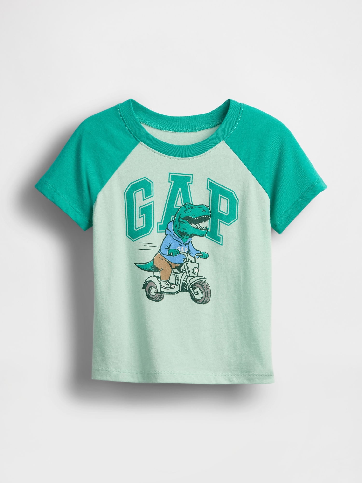 Gap Logo Colorblock T-Shirt product image