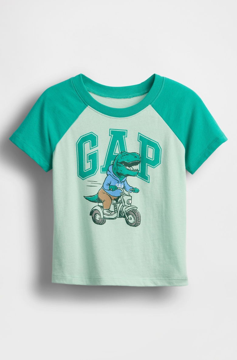  Gap Logo Colorblock T-Shirt