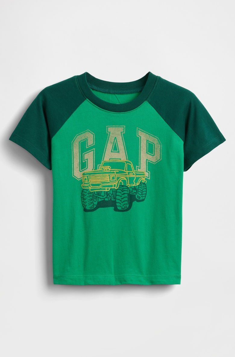  Gap Logo Colorblock T-Shirt