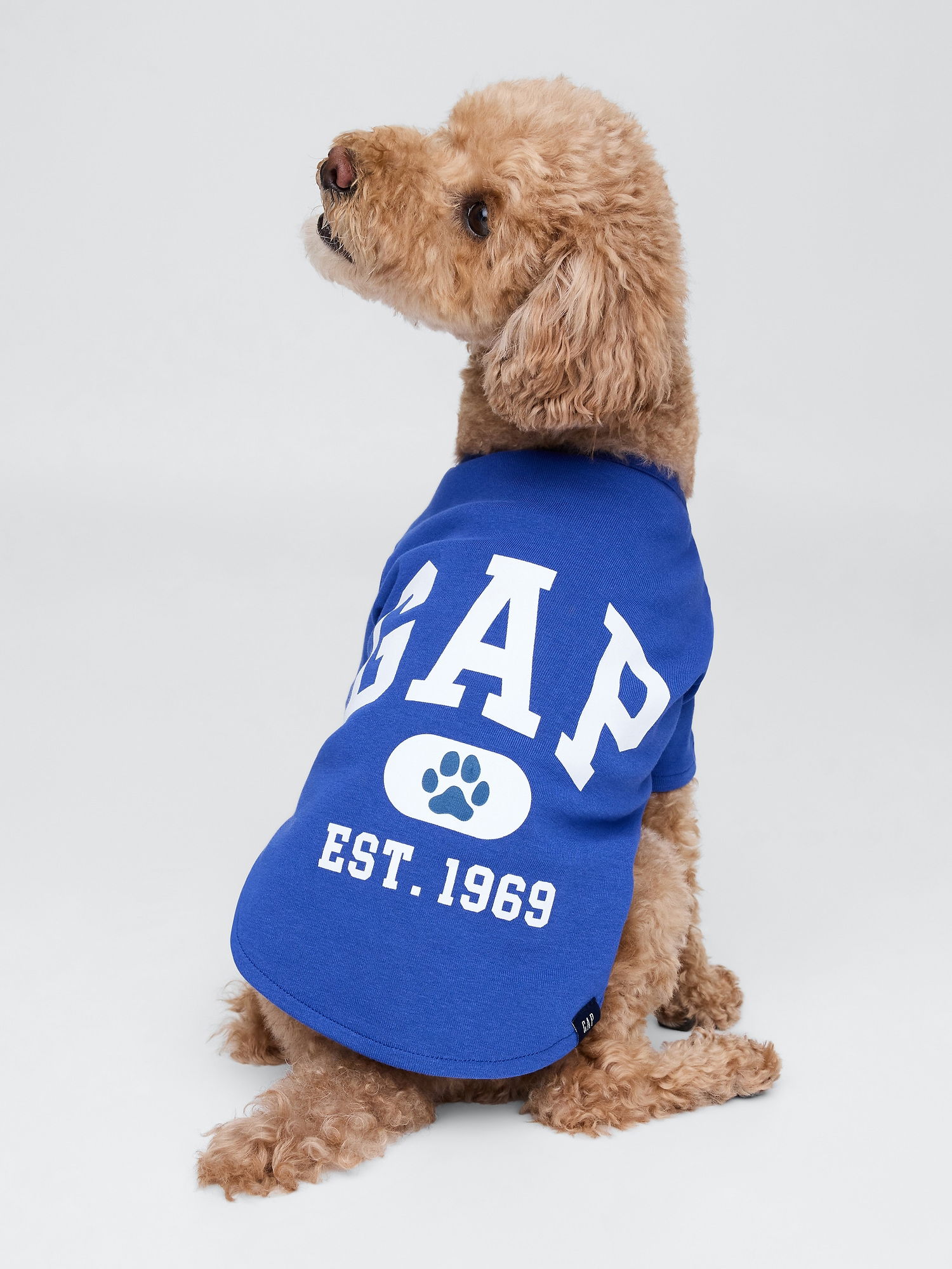Gap Logo Köpek Kıyafeti product image