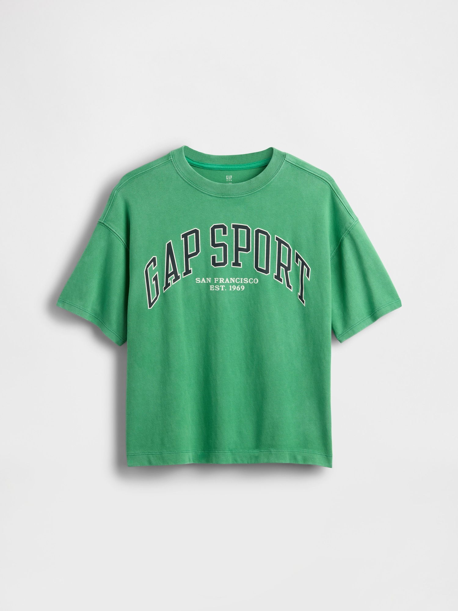 Gap Logo Oversized T-Shirt product image